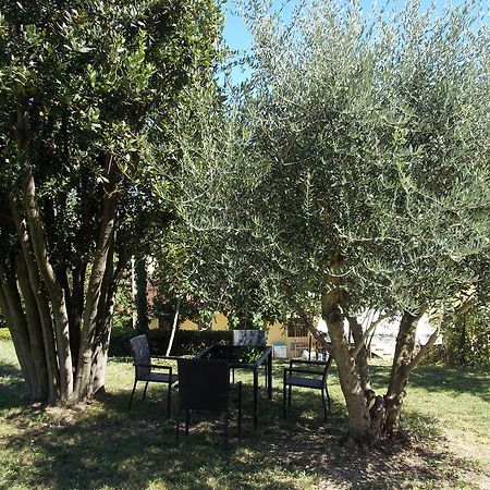 Il Borghetto Apartment San Lorenzo in Campo Exterior photo