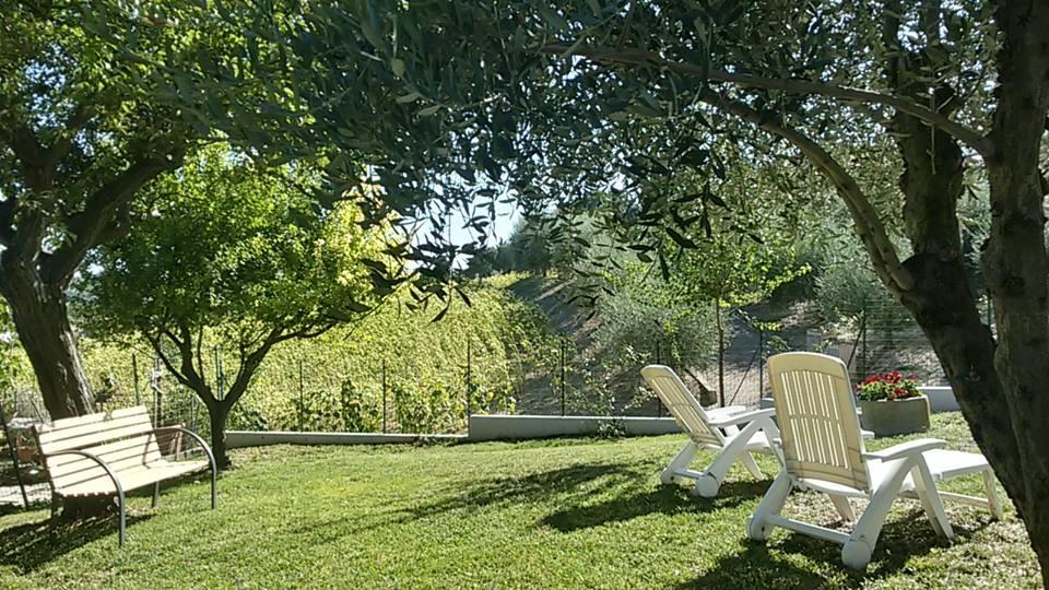 Il Borghetto Apartment San Lorenzo in Campo Exterior photo