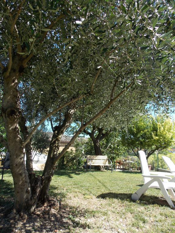 Il Borghetto Apartment San Lorenzo in Campo Exterior photo