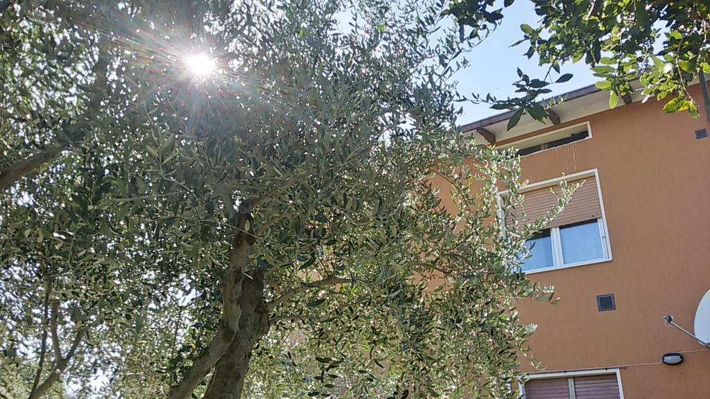 Il Borghetto Apartment San Lorenzo in Campo Exterior photo